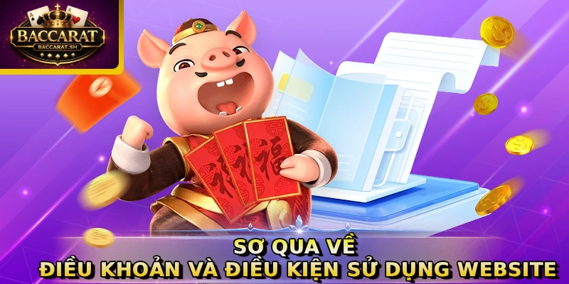 Sơ qua về điều khoản và điều kiện sử dụng website